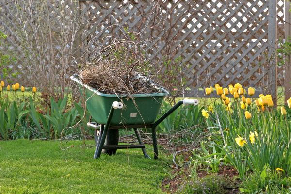 Flower Bed Cleanup Service in Springdale
