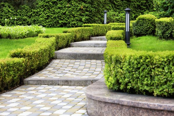 Backyard Remodeling in Springdale