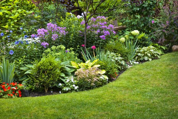 Flower Bed Service in Springdale