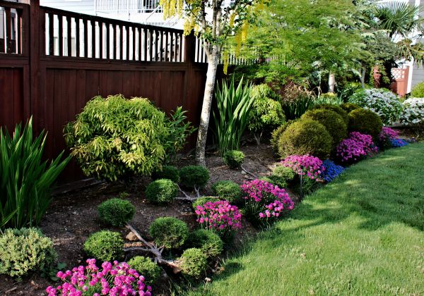 Flower Planting Service in Springdale