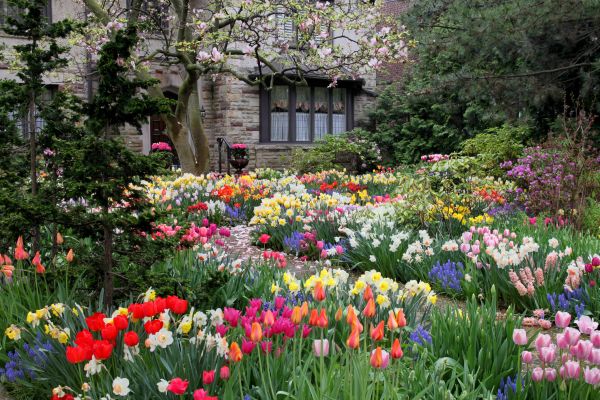 Garden Maintenance Service in Springdale