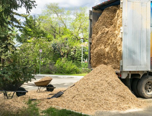 Wood Chips Delivery in Springdale