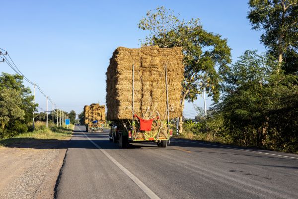 Pine Straw Delivery in Springdale