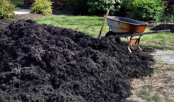 Black Mulch Delivery in Springdale