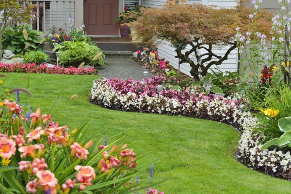 Perennial Landscaping in Springdale