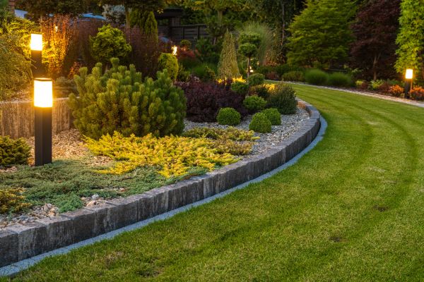 Garden Repair Service in Springdale
