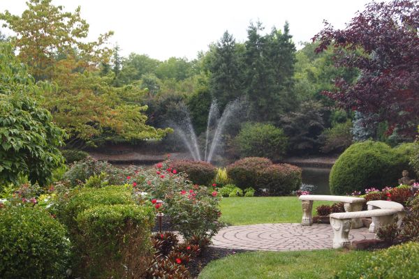 Courtyard Design Service in Springdale