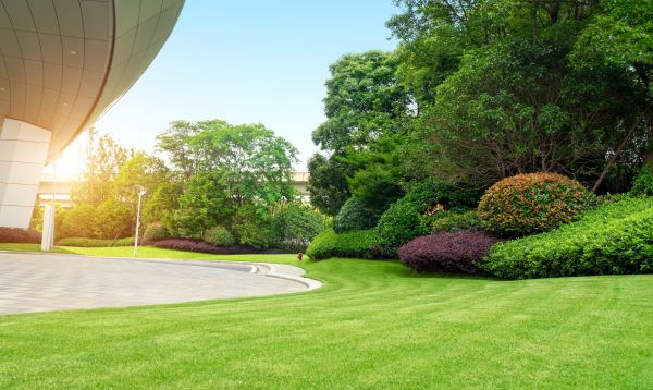 Business Landscape Design in Springdale