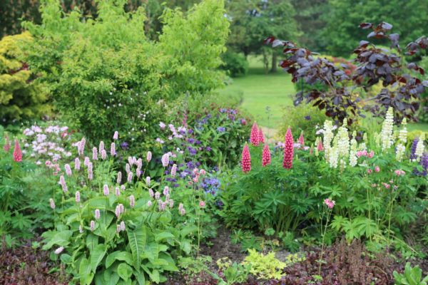Flower Bed Planting in Springdale