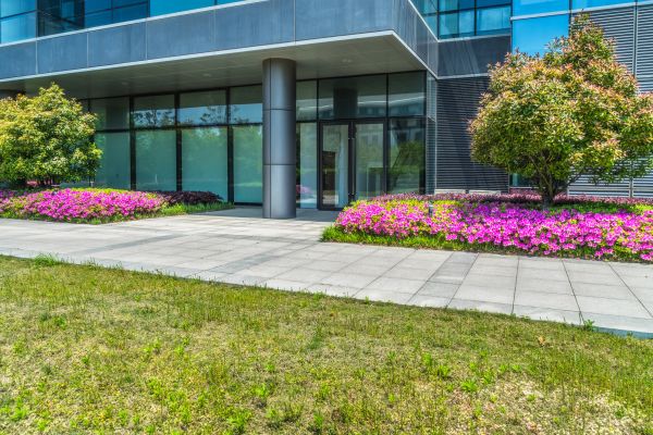 Commercial Gardening in Springdale