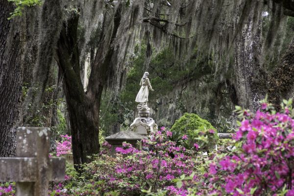 Cemetery Landscaping in Springdale