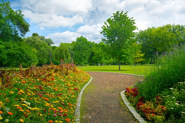 Park Landscaping in Springdale