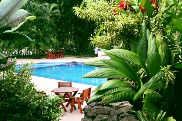 Tropical Garden Landscaping in Springdale