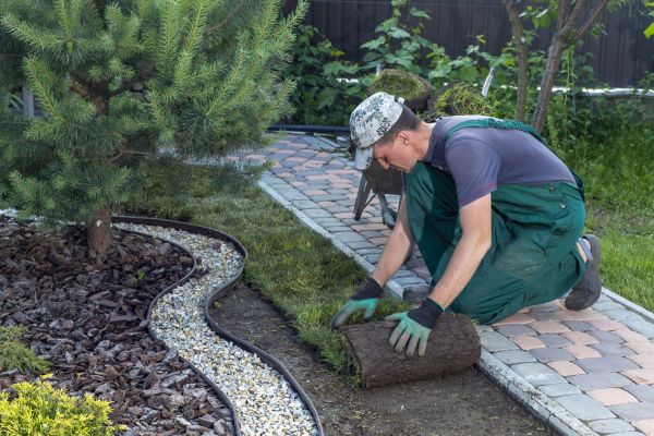 Landscaping Modification in Springdale