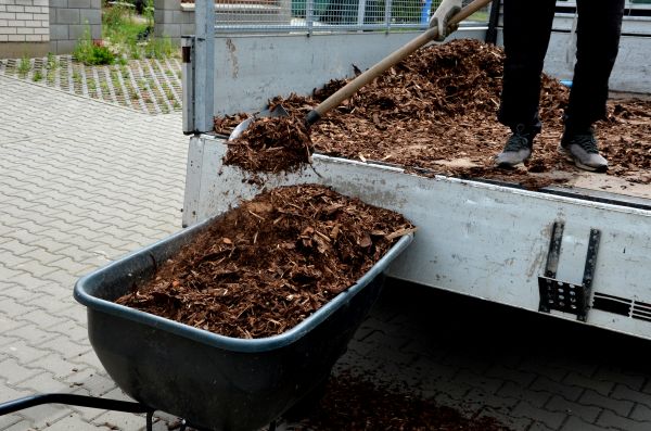 Cedar Mulch Delivery in Springdale