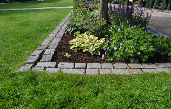 Flower Bed Mulching in Springdale