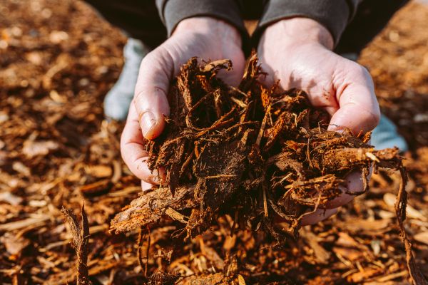 Bark Chips Delivery in Springdale