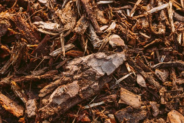 Bark Mulch Delivery in Springdale