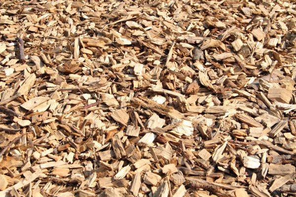 Wood Mulch Delivery in Springdale