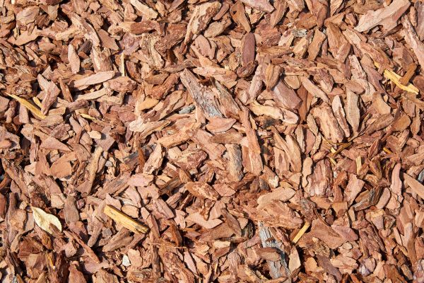 Pine Mulch Delivery in Springdale