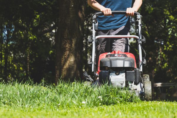 Garden Trimming Service in Springdale