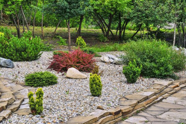 Hardscape Landscaping in Springdale