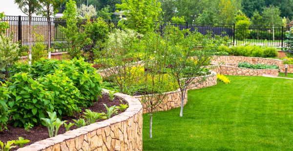 Yard Makeover Service in Springdale