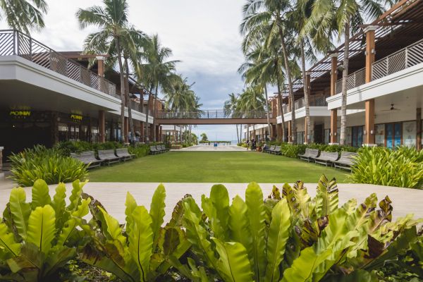Commercial Lawn Renovation in Springdale