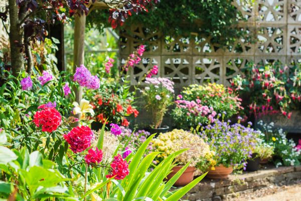 Spring Garden Maintenance in Springdale