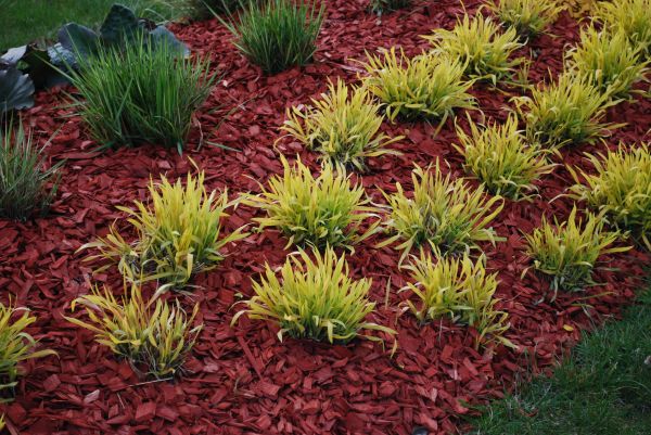 Red Mulch Installation in Springdale