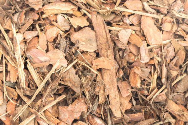 Bark Mulch Installation in Springdale