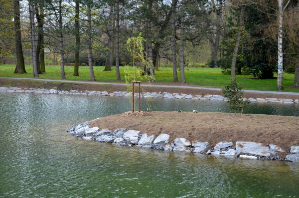 Pond Landscaping Service in Springdale