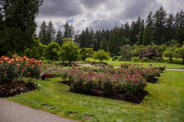 Flower Garden Landscaping in Springdale
