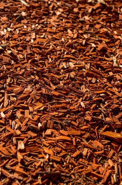Cedar Mulch Spreading in Springdale