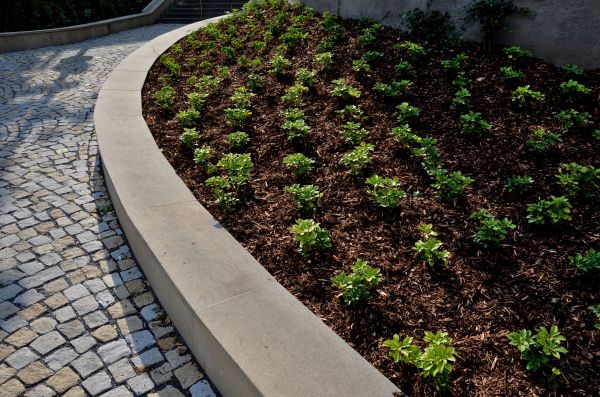Commercial Mulching in Springdale