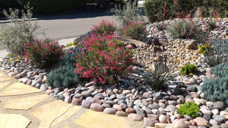 Dryscape Landscaping