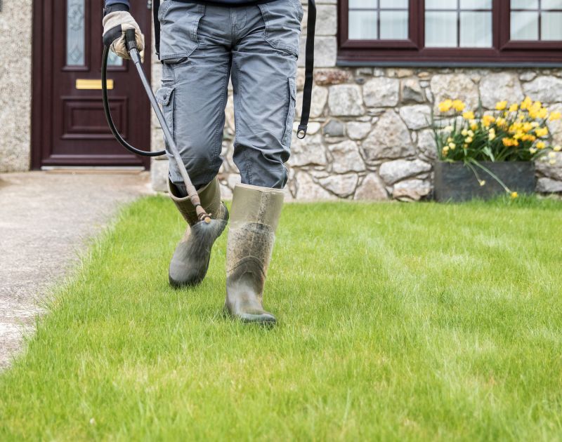 Yard Landscaping Service detail