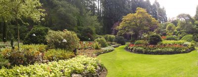 Organic Mulch Installation